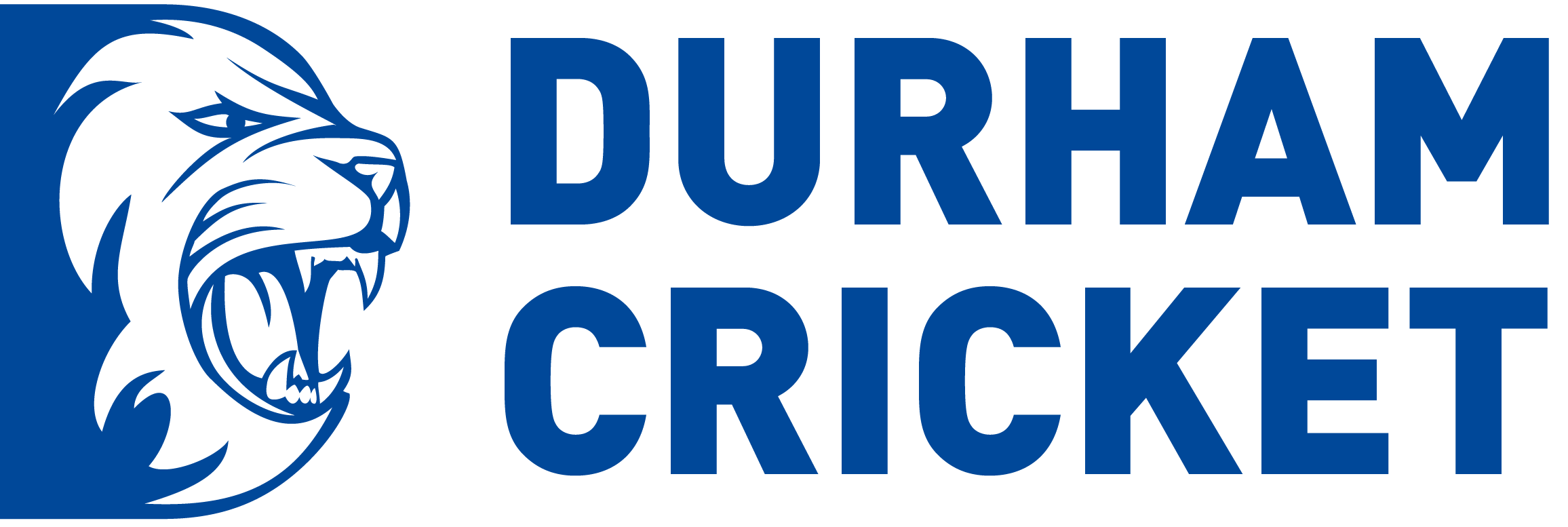 Durham cricket logo